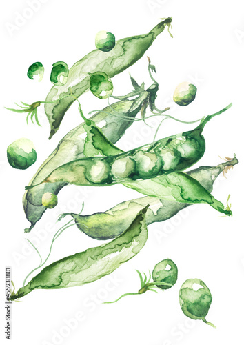 Watercolor composition, illustration of green peas pods, beans, leaves, seeds, beans. Green peas,beans set.Hand drawing watercolor. Can be used for card, sticker, menus, ingredients of dishes. logo