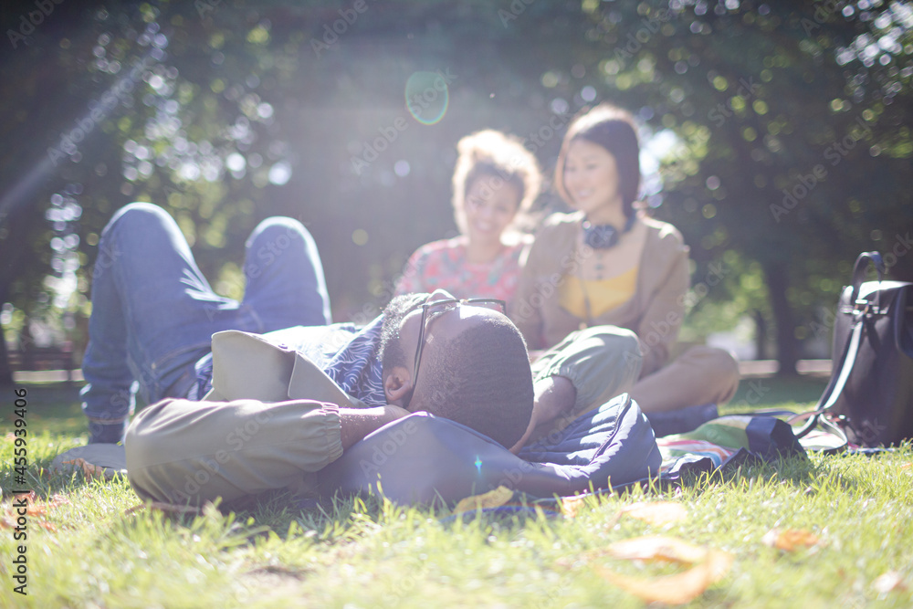 Fototapeta premium Young friends relaxing in sunny summer park