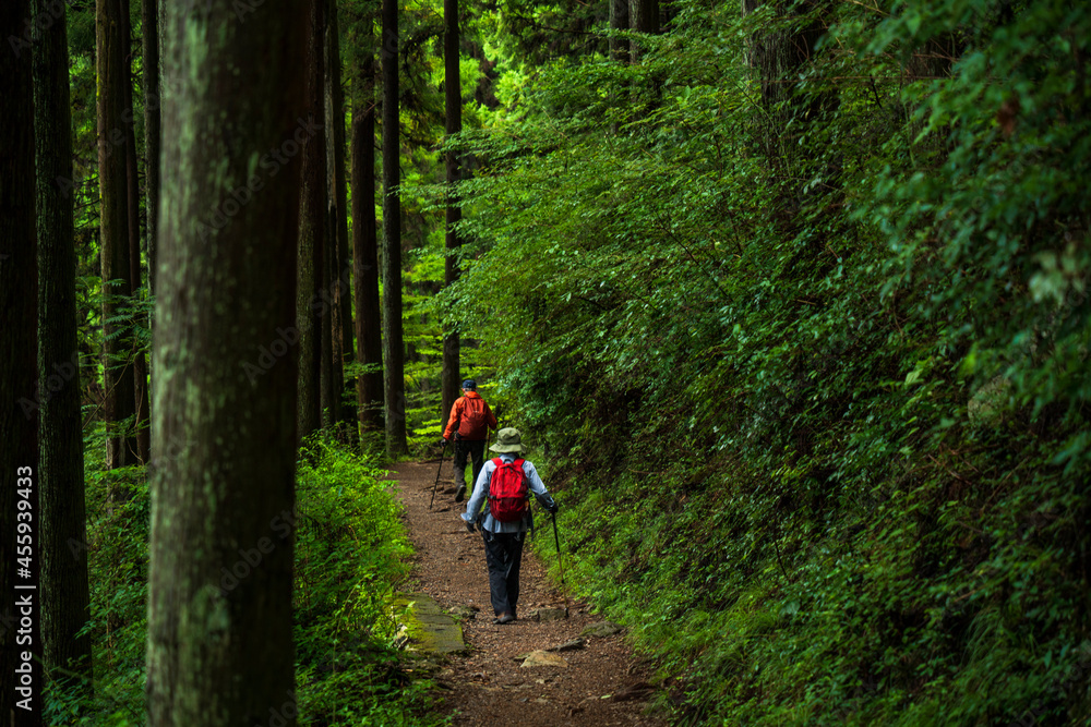 東京・御岳山の登山道を歩く登山客
【Hikers walk along the trail of Mt. Mitake in Tokyo, Japan】