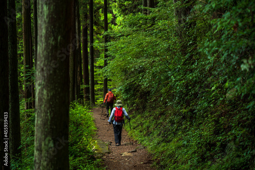 東京・御岳山の登山道を歩く登山客 【Hikers walk along the trail of Mt. Mitake in Tokyo, Japan】