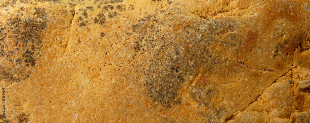 close-up of a stone texture background close-up of a stone texture background