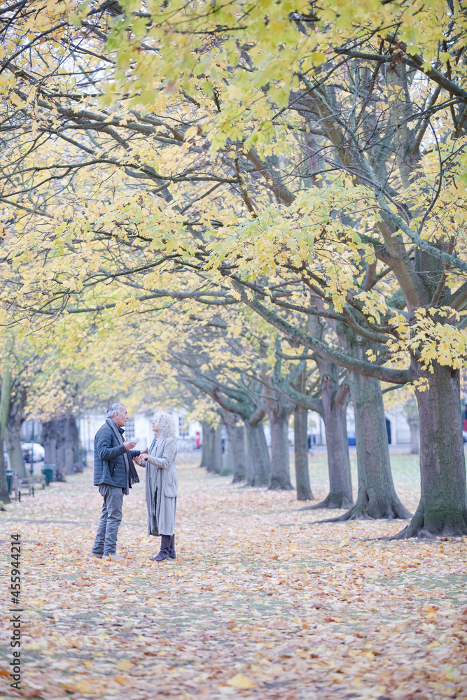 Affectionate couple hugging, walking among trees and leaves in autumn park Affectionate couple hugging, walking among trees and leaves in autumn park