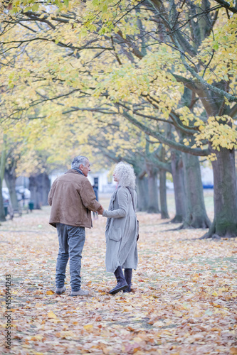 Affectionate senior couple holding hands, walking among trees and leaves in autumn park
