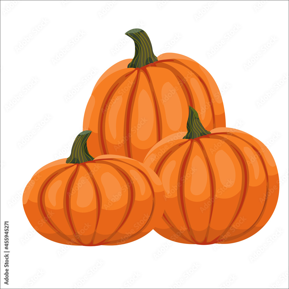 A bunch of pumpkins. illustration of orange pumpkins in cartoon style. Vector clipart isolated on white background. A bunch of pumpkins. illustration of orange pumpkins in cartoon style. Vector clipart isolated on white background.
