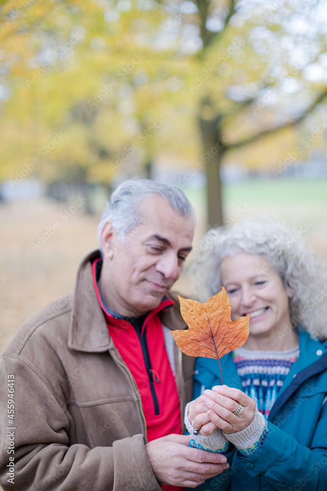 Affectionate senior couple holding orange autumn leaf Affectionate senior couple holding orange autumn leaf