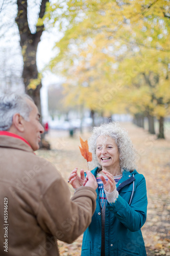 Affectionate, curious senior couple holding leaf in autumn park