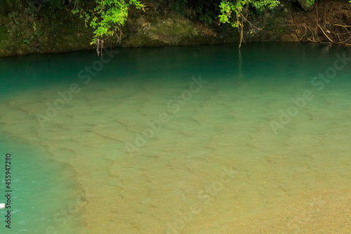 tropical forest lake