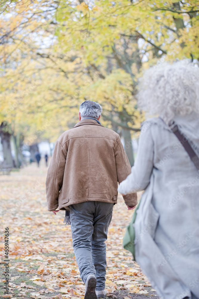 Obraz premium Affectionate couple hugging, walking among trees and leaves in autumn park
