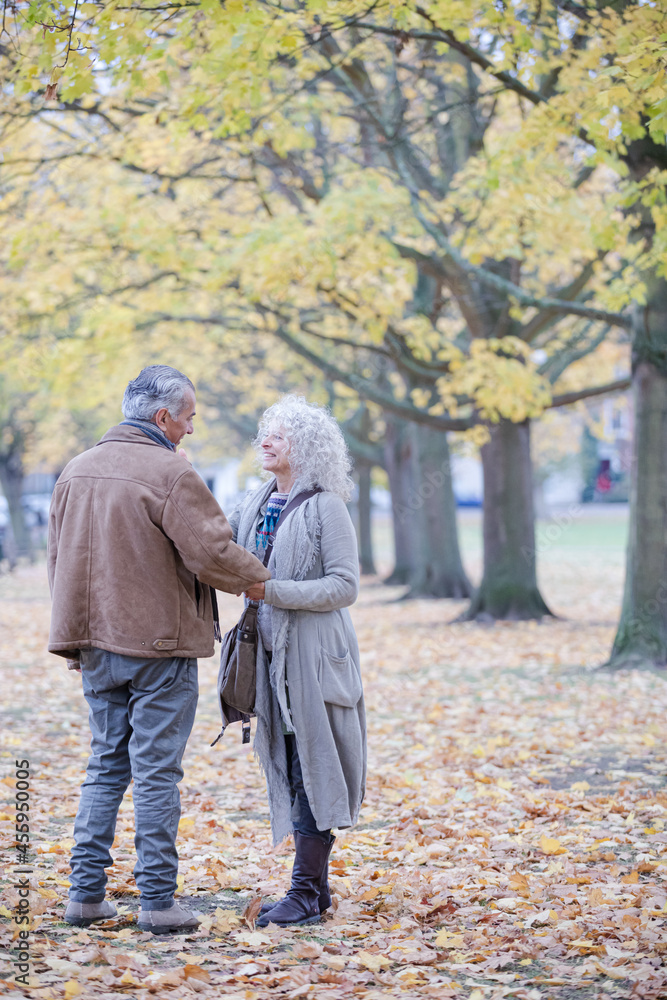 Fototapeta premium Affectionate senior couple holding hands, walking among trees and leaves in autumn park