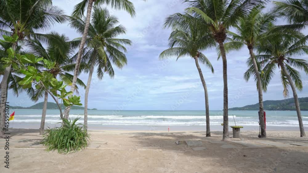 Coconut Palm trees on the beach landscape in sunny summer day Good weather day background Palm leaves frame nature landscape Coconut Palm trees on the beach landscape in sunny summer day Good weather day background Palm leaves frame nature landscape