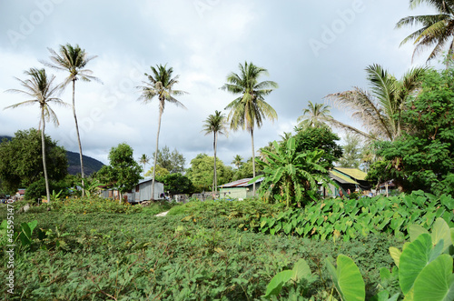 THAILAND, BANGKOK: Scenic landscape view of isolated Thai island with palms and traditional houses 