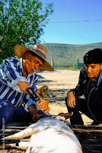 Valokuva Grandfather cutting pig while crouching by grandson at table
