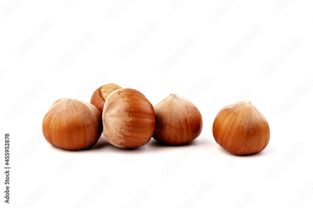 Group of hazelnuts, isolated on white background Group of hazelnuts, isolated on white background