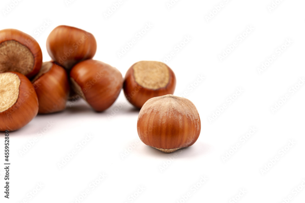 Group of hazelnuts, isolated on white background Group of hazelnuts, isolated on white background