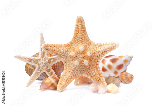 Beautiful sea stars and seashells on white background