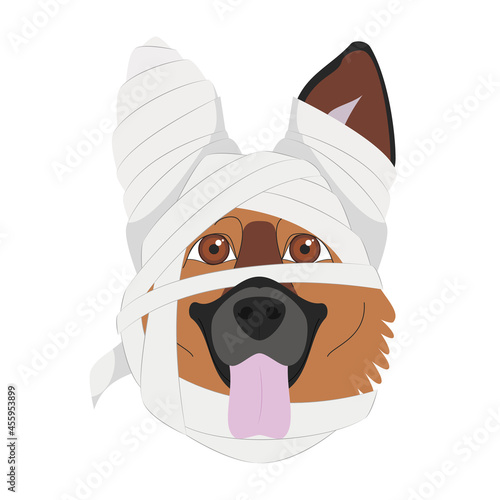 Halloween greeting card. German Shepherd dog dressed as a mummy