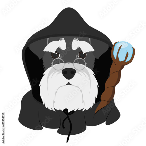 Halloween greeting card. Schnauzer dog dressed as a wizard with black hood and magic wand