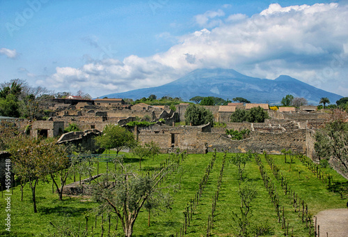 Vineyard with view at Vesuvius from Herculaneum photo