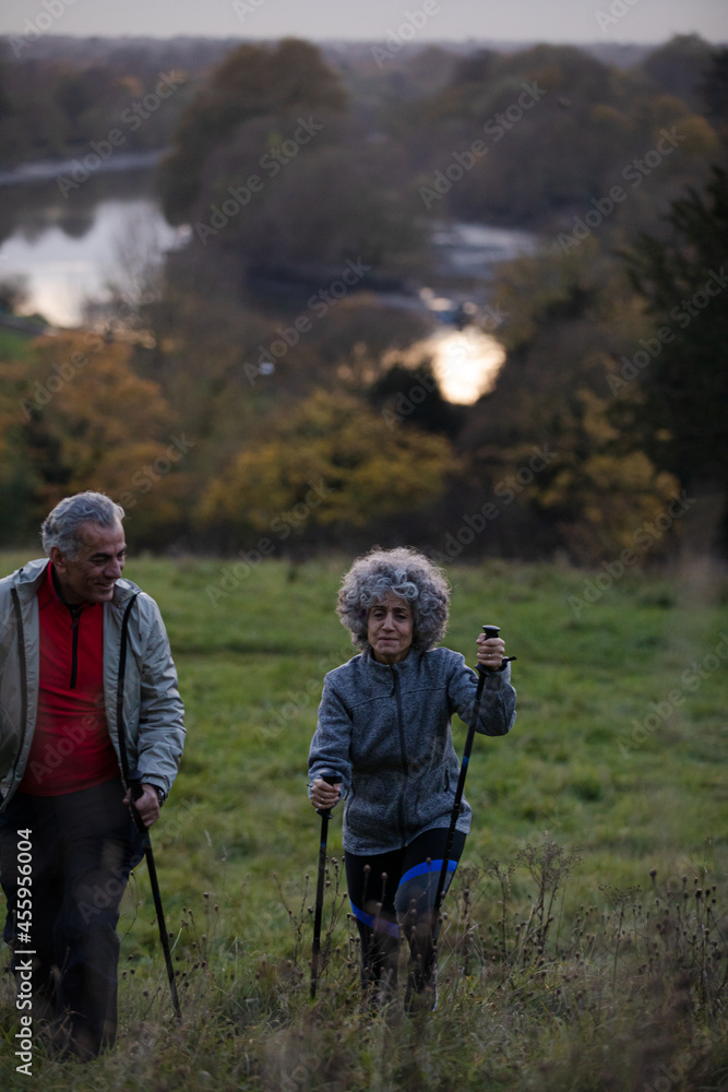 Smiling, affectionate senior couple wih walking stick