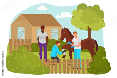 Professional veterinarian doctor character injection syringe treat work with domestic horse animal flat vector illustration, isolated on white.