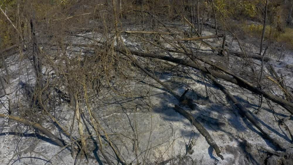 Destruction in the Amazon rain forest caused by bushfires and drought from climate change - aerial Destruction in the Amazon rain forest caused by bushfires and drought from climate change - aerial