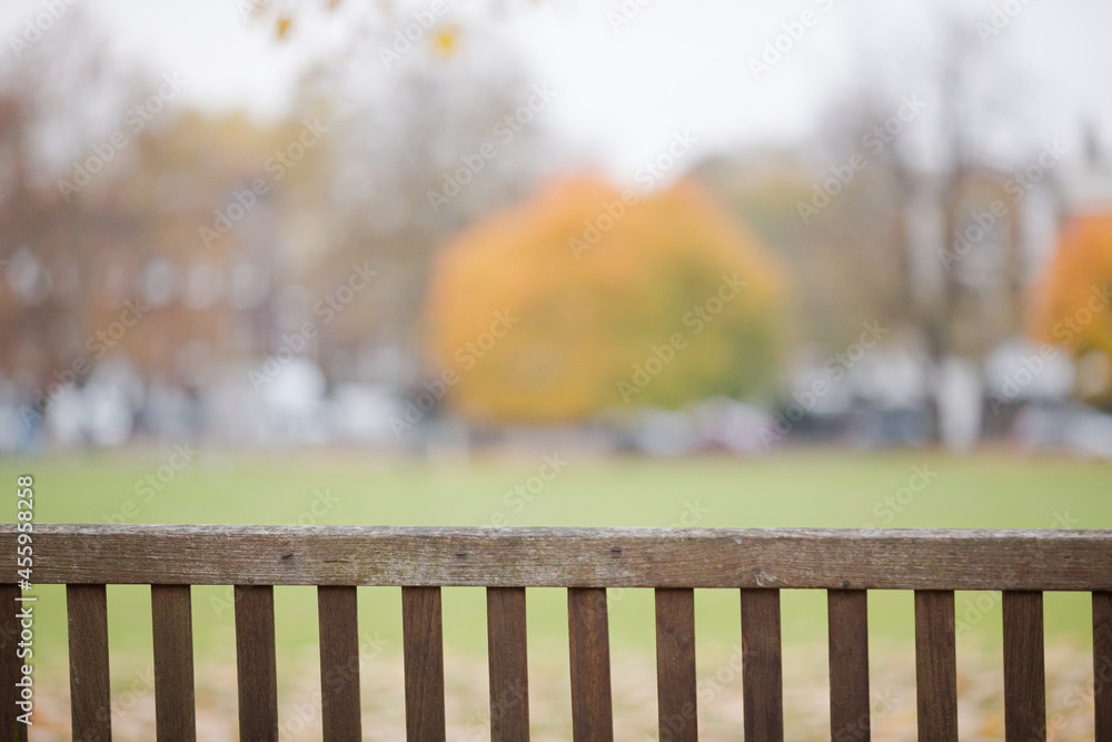 Brown bench in autumn park