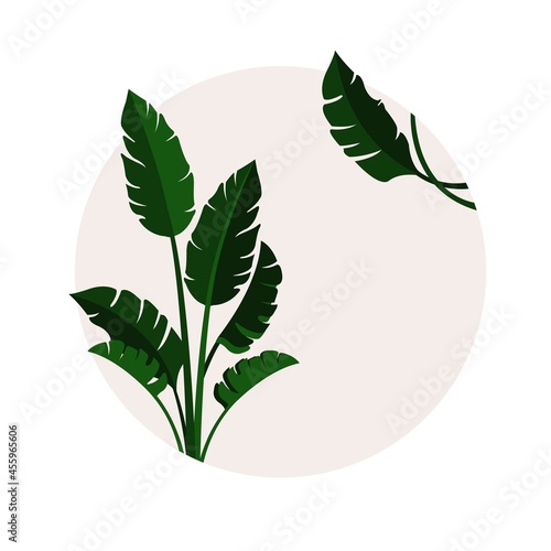 Palm. The emblem with the image of a plant in a circle. Background. Vector flat illustration. Template for a postcard.
