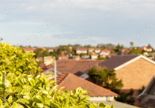 Panorama of Mosman, a suburban area in the north shore of Sydney, Australia, with traditional single-family homes with red tile roofs. Defocused view