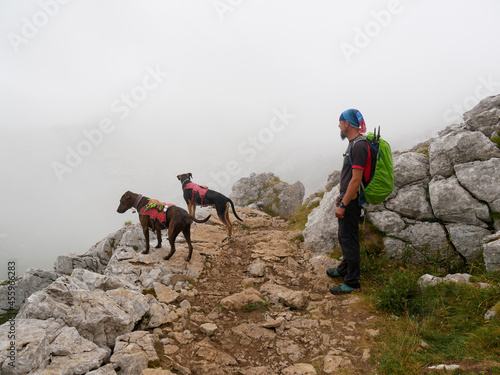 A Caucasian male hiker with a green backpack, hiking in beautiful mountainous area with his dogs © RODRIGO
