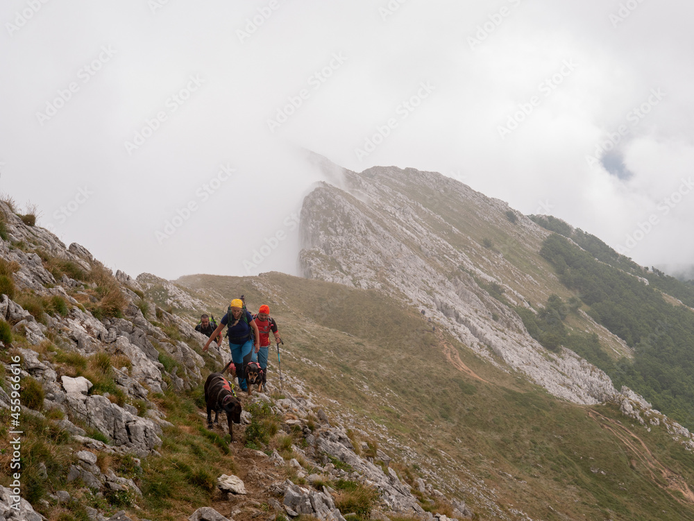 A group of hikers with backpacks, hiking in a beautiful mountainous area with their dogs