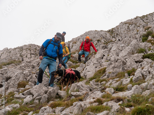 A group of hikers with backpacks, hiking in a beautiful mountainous area with their dogs