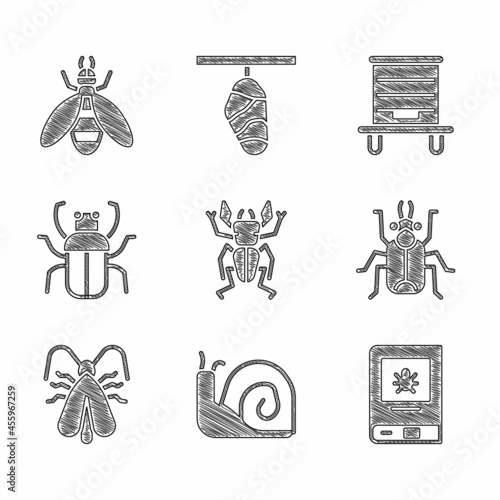 Set Beetle deer, Snail, Book about insect, bug, Clothes moth, Stink, Hive for bees and icon. Vector