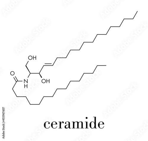 Ceramide cell membrane lipid molecule. Skeletal formula. photo