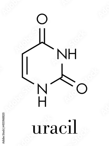 Uracil (U) nucleobase molecule. Present in ribonucleic acid (RNA). Skeletal formula.