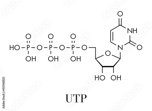 Uridine triphosphate (UTP) nucleotide molecule. Building block of RNA. Skeletal formula.