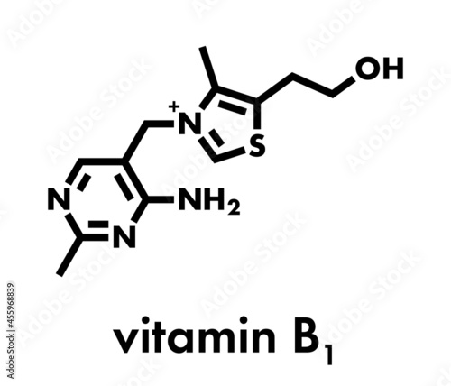 Vitamin B1 (thiamine) molecule. Skeletal formula.