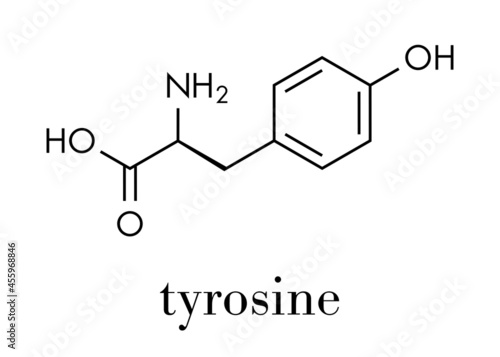 Tyrosine (l-tyrosine, Tyr, Y) amino acid molecule. Skeletal formula.