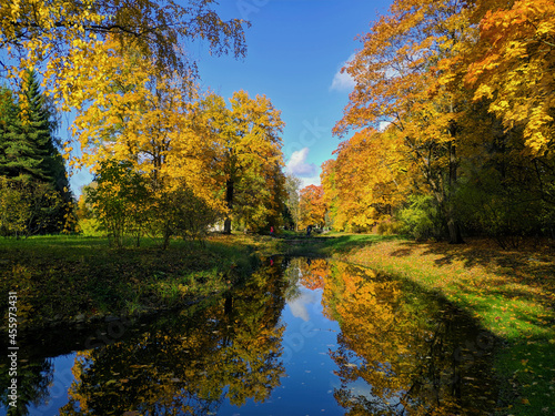 autumn in the park