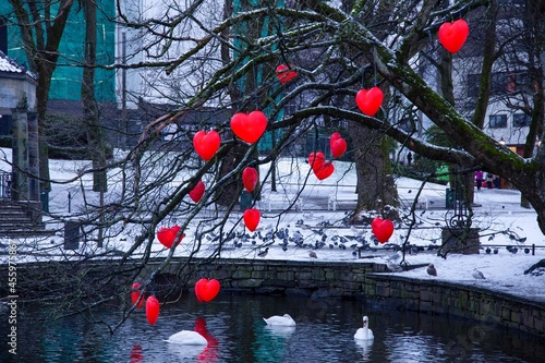 christmas tree in the snow