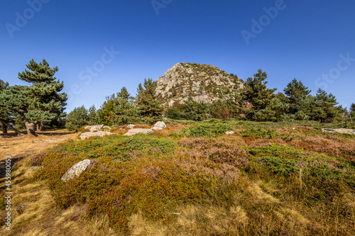 Mont Gerbier de Jonc, near the source of the Loire River, France