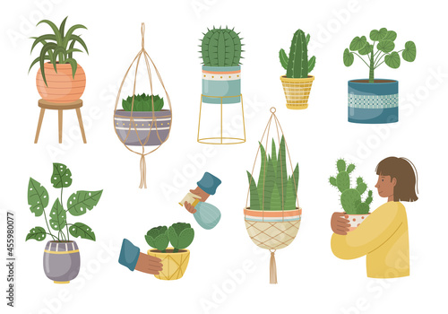 The set of house plants in the pots. Planting plants. Decorative plants in the interior of the house. Flat style.