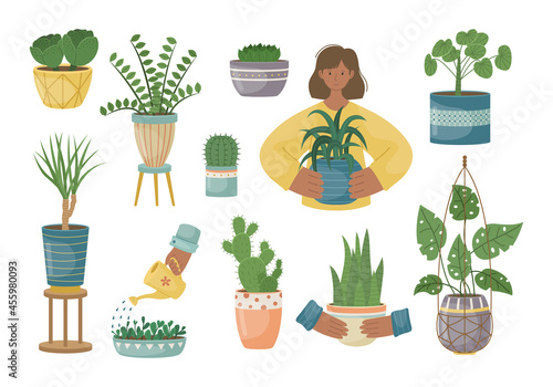 The set of house plants in the pots. Planting plants. Decorative plants in the interior of the house. Flat style.