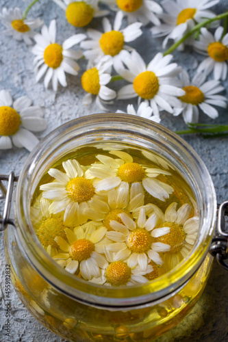 Essential oil in glass bottle with fresh chamomile flowers  beauty treatment.