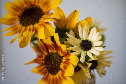 Different tyoes of sunflower in a mason jar