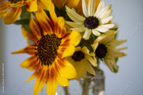 Different tyoes of sunflower in a mason jar photo