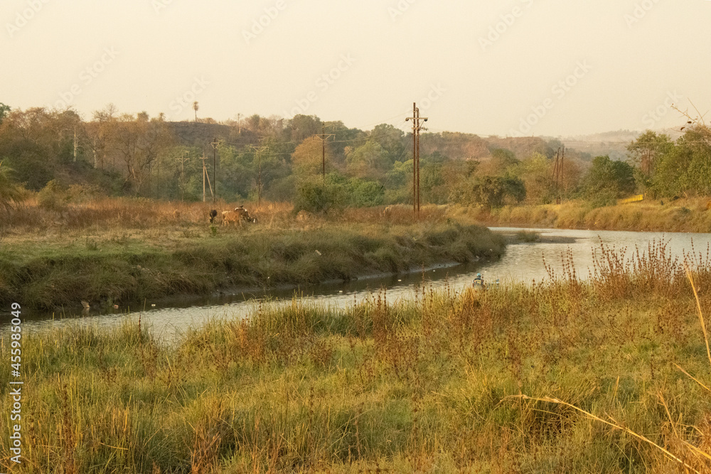 Soft landscape of rural India