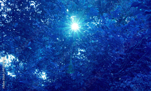 Pop art surreal style royal blue colored bright sunlight shining through the foliage