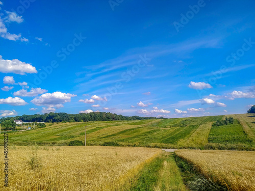 Beautiful landscape in the field in August