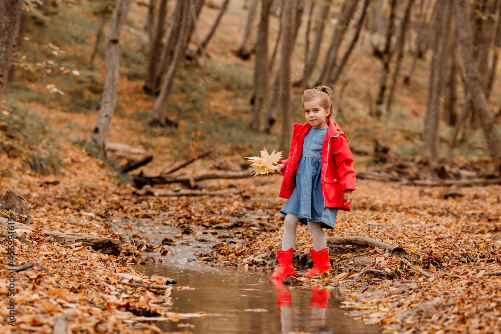 a little girl in a coat and red rubber boots walking in the autumn forest. High quality photo a little girl in a coat and red rubber boots walking in the autumn forest. High quality photo