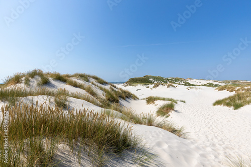 Dünenlandschaft an der Nordsee